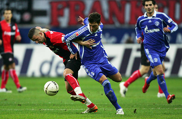 本文将深入 本文将深入